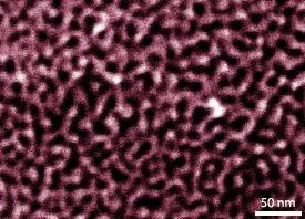 A scanning electron microscopy image of the nanoporous PdNi alloys
