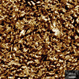 太陽電池内部の活性層の原子間力顕微鏡位相像。ポリマー結晶が配列する様子をナノメートルスケールの解像度で示している。 