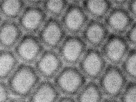 ダイヤモンドと立方晶窒化ホウ素の界面の明視野走査透過型電子顕微鏡写真。周期的な六角形転位ループの間に積層欠陥がネットワーク上につながっている。