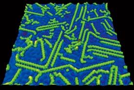 銅基板（青色）上に成長させたグラフェンナノリボン（緑色）の走査トンネル顕微鏡（STM）像。