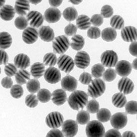 Nanoparticles consisting of two polymers arranged in a stripy structure.