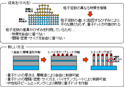 従来法（S-K法）の場合：格子定数の異なる物質を堆積→格子定数の違いに起因するひずみにより、平らな膜とならず、量子ドットが作製される。格子定数の差異やひずみを利用しているため…・物質を自由に運べない・間隔、密度、サイズを自由に選べない。新しい方法の場合：・量子ドットの厚さは、層構造により自由制御可能・量子ドットの間隔、密度、サイズは、バイオテンプレートにより制御可能・中性粒子ビームエッチングにより実際に量子ドットを作製