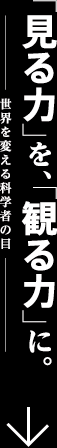 「見る力」を、「観る力」に。世界を変える科学者の目