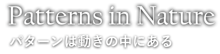 Patterns in Nature パターンは動きの中にある