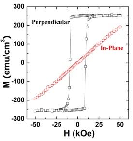 図1: 印加磁場（H）に対するMn2.5Ga薄膜の磁化（M）を示すグラフ。膜面に対して垂直な方向に磁場をかけると（黒）、膜はすぐに最高（飽和）磁化に達する。しかし、膜の面内に磁場をかけても（赤）、磁化は飽和に達しない。このような「垂直磁気異方性」は、磁気データ記憶やスピントロニクスへの応用に理想的な特性であるかもしれない。