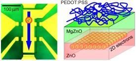 図1: トランジスターの上面図（左）、およびZnOとMgZnOの間の二次元電子ガス界面を示す模式図（右）。