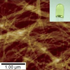 Fig. 1: A new thermally reversible gel (inset) forms long fibrous aggregates (atomic force microscopy image) thanks to a two-part mixture of pseudoenantiomers. Fig. 1: A new thermally reversible gel (inset) forms long fibrous aggregates (atomic force microscopy image) thanks to a two-part mixture of pseudoenantiomers.