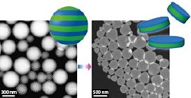 Fig. 1: Scanning transmission electron microscopy images of nanoparticles consisting of stacked layers (left) that are transformed into nanodisks (right) by oxidation and dissociation. Schematic illustrations show the polystyrene (blue) and polyisoprene (green) components of the structures.