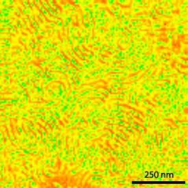 図1: ブロック共重合体フィルムのAFM像を画像処理して、ヤング率（剛性）の違いを色で表したもの。赤色で表される柔らかい領域と緑色で表される硬い領域は、共重合体中の別々の相に相当する。