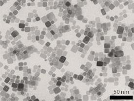 Transmission electron microscopy image of 10 nm-wide CeO2 nanocubes © 2011 ACS Transmission electron microscopy image of 10 nm-wide CeO2 nanocubes