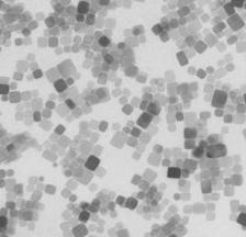 図1: 1辺の長さが10 nmのCeO2ナノキューブの透過電子顕微鏡像