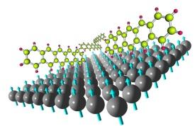 Schematic representation of a pentacene molecule layer on cobalt film featuring cobalt (gray), carbon (yellow), and hydrogen atoms (red), and spin (denoted with blue arrows)