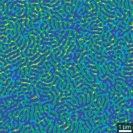 A map of viscoelastic properties of a tri-block copolymer sample