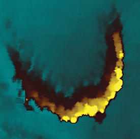 VSM–SECMイメージングで得られた有毛細胞の形状像 © 2012 PNAS VSM–SECMイメージングで得られた有毛細胞の形状像