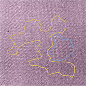 酸化グラフェンの透過電子顕微鏡像。非常に無秩序な領域（黄色い線で囲まれた部分）と非常に秩序正しい領域（青い線で囲まれた部分）が大きく広がっている。