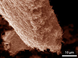 A scanning electron microscopy image of three-dimensional nanoporous graphene, a new low-cost material with extraordinary electronic properties.