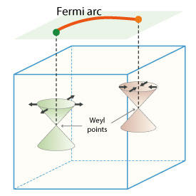 NbP結晶表面に発現するフェルミ弧のパターンから、結晶内のワイル点の存在が確認され、NbPがワイル半金属であることが示された。この研究結果は、超高速エレクトロニクスの幕開けにつながる可能性がある （太い黒色矢印はスピンの方向を示す）。図中文字Fermi arc:　フェルミ弧Weyl points:　ワイル点