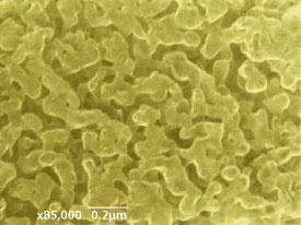 The tiny pores in this graphene particle contain traces of nitrogen, sulfur and phosphorus that help to liberate hydrogen gas from water.