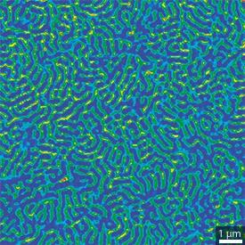 トリブロック共重合体サンプルの粘弾特性マップ © 2011 ACS トリブロック共重合体サンプルの粘弾特性マップ