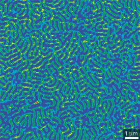 トリブロック共重合体サンプルの粘弾特性マップ