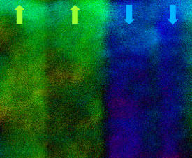 磁鉄鉱中で隣接する二つの結晶の磁性を、走査型透過電子顕微鏡による微分位相コントラスト法で観察した像。図中央の界面の左右で磁性は反平行になっている（緑色と青色の矢印で示す）。