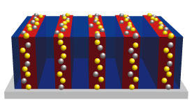 A diblock polymer developed by Hiroshi Yabu’s team at the AIMR consists of two building blocks poly(vinyl catechol) (red bands) and polystyrene (navy bands). Two types of nanoparticles — iron oxide nanoparticles (gold spheres) and silver (silver spheres) — incorporated in the poly(vinyl catechol) impart the film with special magneto-optical properties.