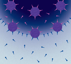 帯電小分子（ピンク色）はナノ結晶（紫色）を取り囲み、ナノ結晶と結合しようとしてアミン末端ポリ(ジメチルシロキサン)（青色）と競合する。