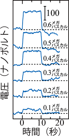 pr_151103_04.jpg