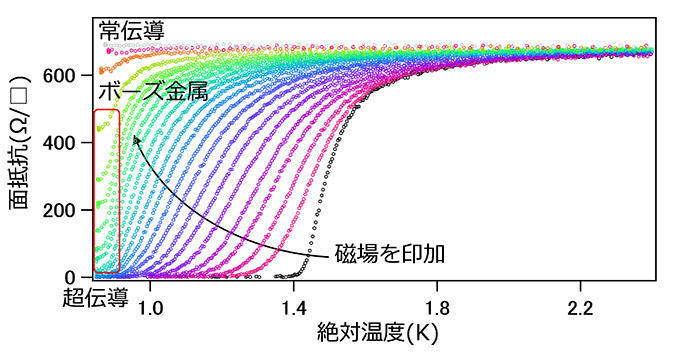 セレン化ニオブ単層膜の磁場中での電気抵抗の温度依存性