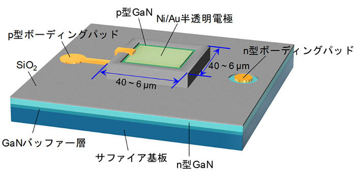 今回、作製したGaNマイクロLEDの模式図