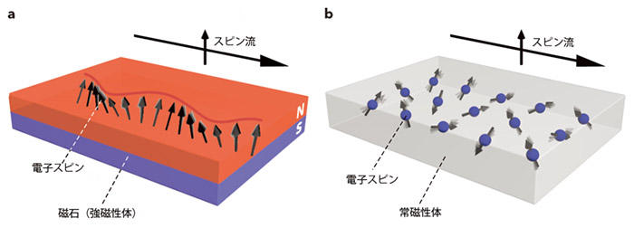 強磁性体と常磁性体におけるスピン流伝送のイメージ図