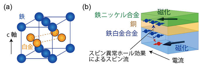 強磁性体と常磁性体におけるスピン流伝送のイメージ図