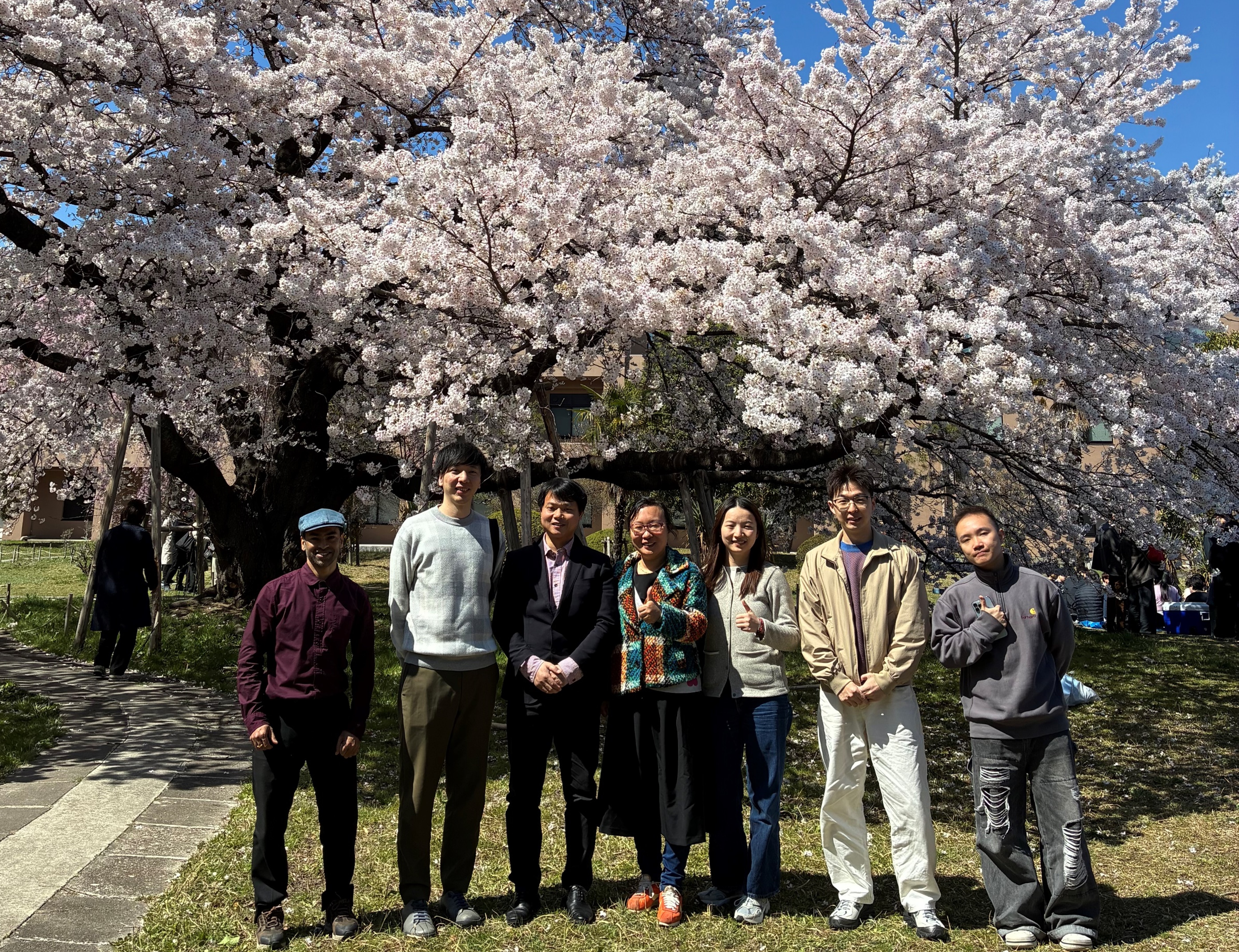 Hanami gathering on 2026. 4. 8